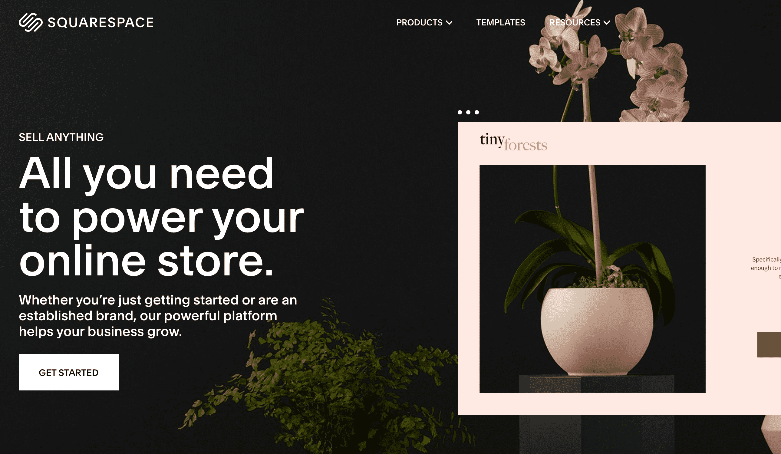 Squarespace homepage