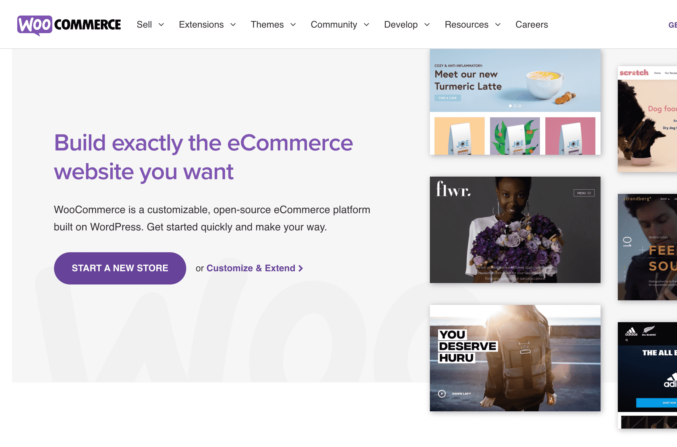 WooCommerce homepage